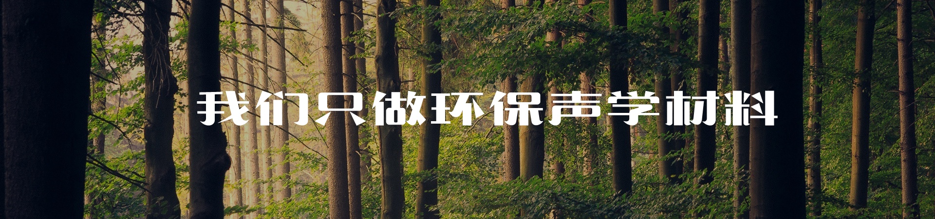 諾聲聲學(xué)