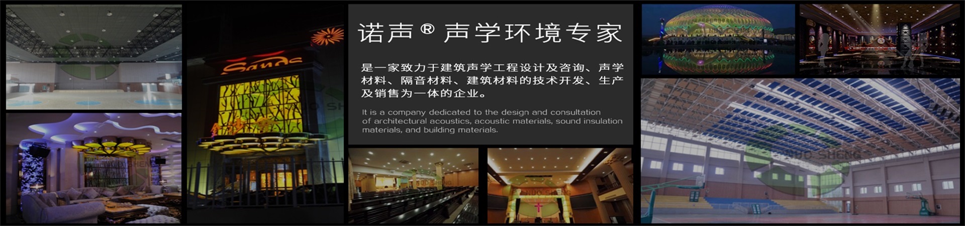 諾聲聲學